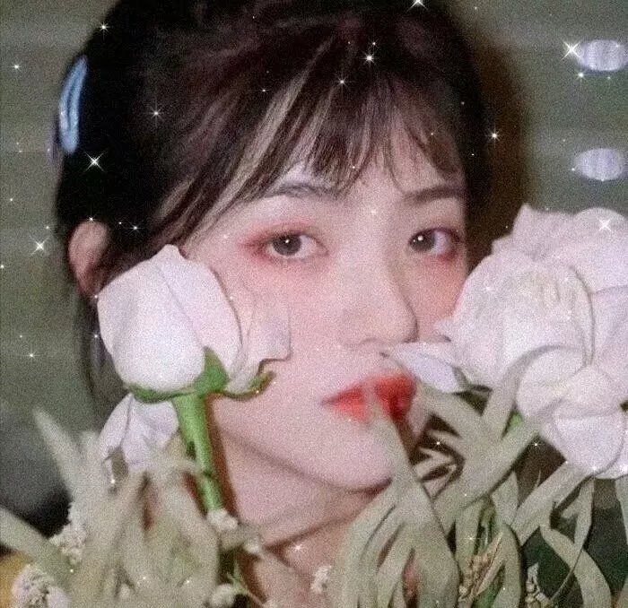 桂花巷2002